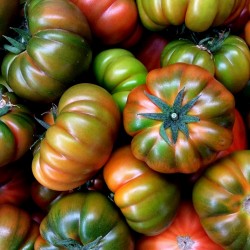 INDETERMINATE HEIRLOOM VEGETABLE TOMATO SEEDS 100 SEEDS SAINT PIERRE