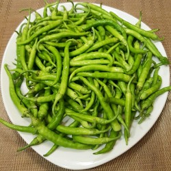 Guindilla De Ibarra πράσινο τσίλι πιπεριές σπόροι 1.75 - 2