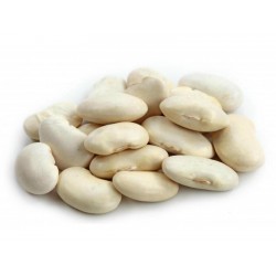 Tetovac big white Bean Seeds 1.95 - 1