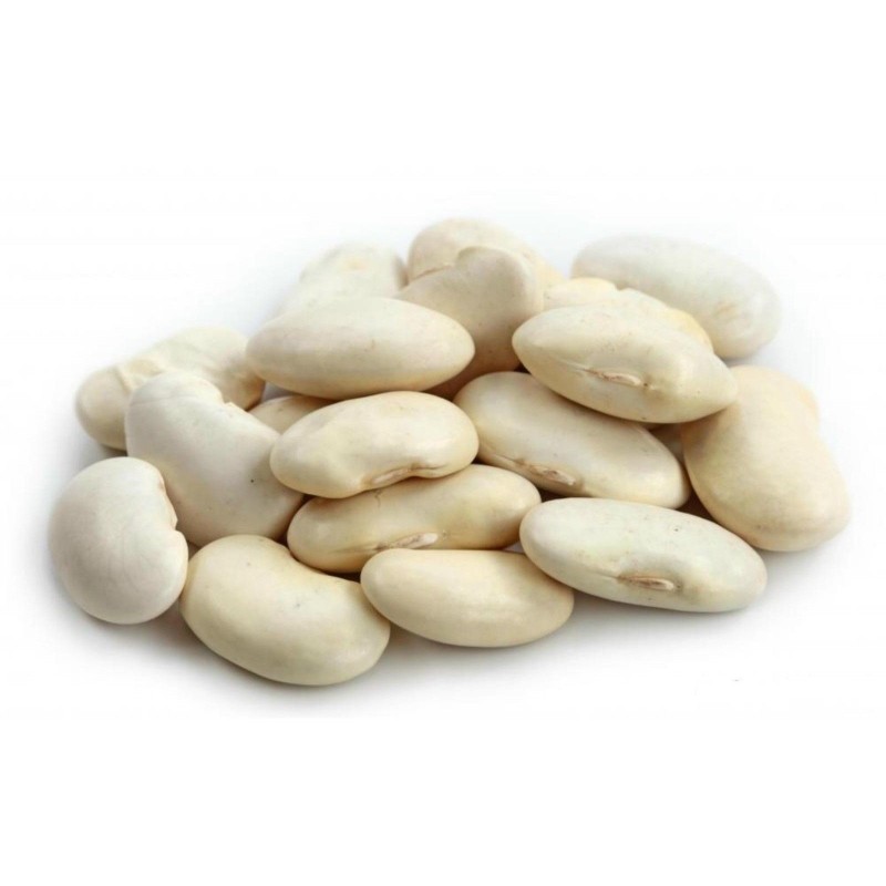 Tetovac big white Bean Seeds 1.95 - 1