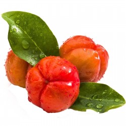 Барбадосская вишня, ацерола семена (Malpighia emarginata) 4.5 - 1