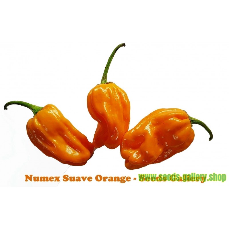 Numex Suave Orange Seeds