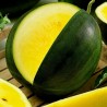JANOSIK Gelbe Wassermelone Samen