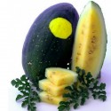 100 Seeds Yellow Fleshed Watermelon Moon and Stars