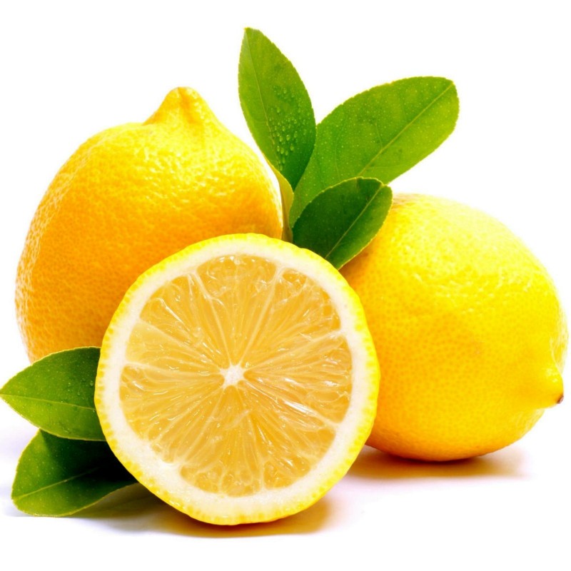 Sementes de Limão - limão-siciliano - limão-verdadeiro 1.95 - 1