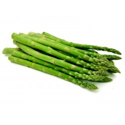 Spargel Samen - Asparagus officinalis 1.65 - 2