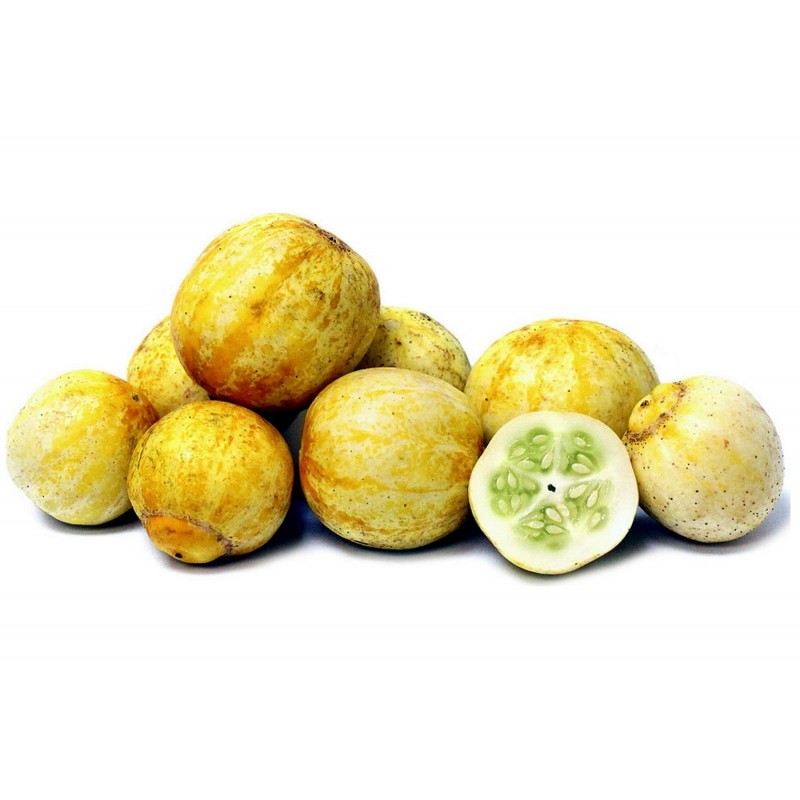 Sementes De Pepino Limão 1.95 - 1