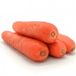 Graines de carotte Flakkee 2.049999 - 2