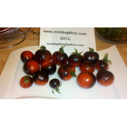 Semillas de tomate INDIGO ROSE Raras 2.5 - 4
