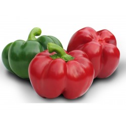GREYGO ungerska paprika frön 1.55 - 1
