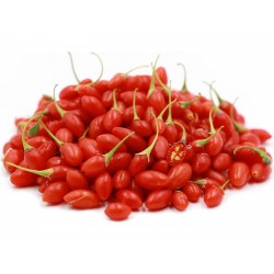 Graines Goji Berry (Lycium chinense) Rusticité: -45°C 1.55 - 1