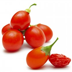 Semi di Goji Berry (Lycium chinense) 1.55 - 4