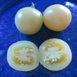 Semillas de Tomate Cereza Blanco White Cherry 1.95 - 2
