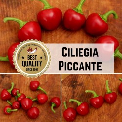 Ciliegia Piccante, Satan's kiss Chili Samen – italienische Sorte 2.25 - 2