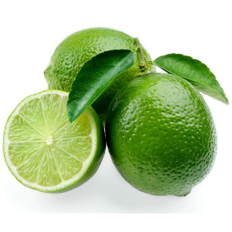 Persian lime Seeds – limoo, Tahiti lime  - 3