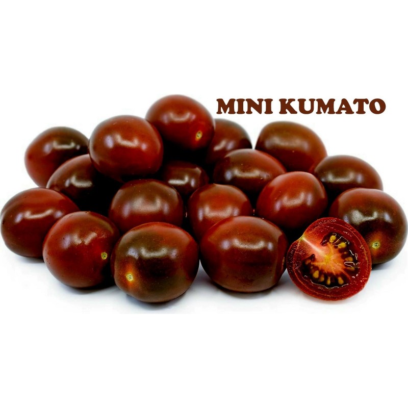Sementes de tomate cereja preto Kumato  - 2