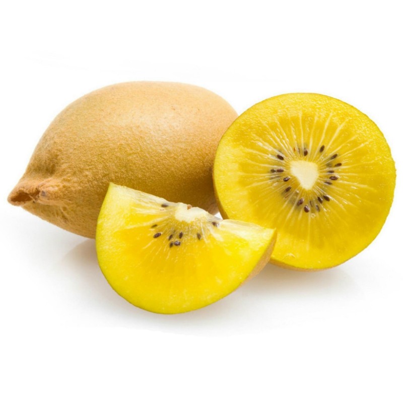 Σπόροι χρυσό Kiwifruit ή Κινεζικό ριβήσιο  - 25°C  - 4