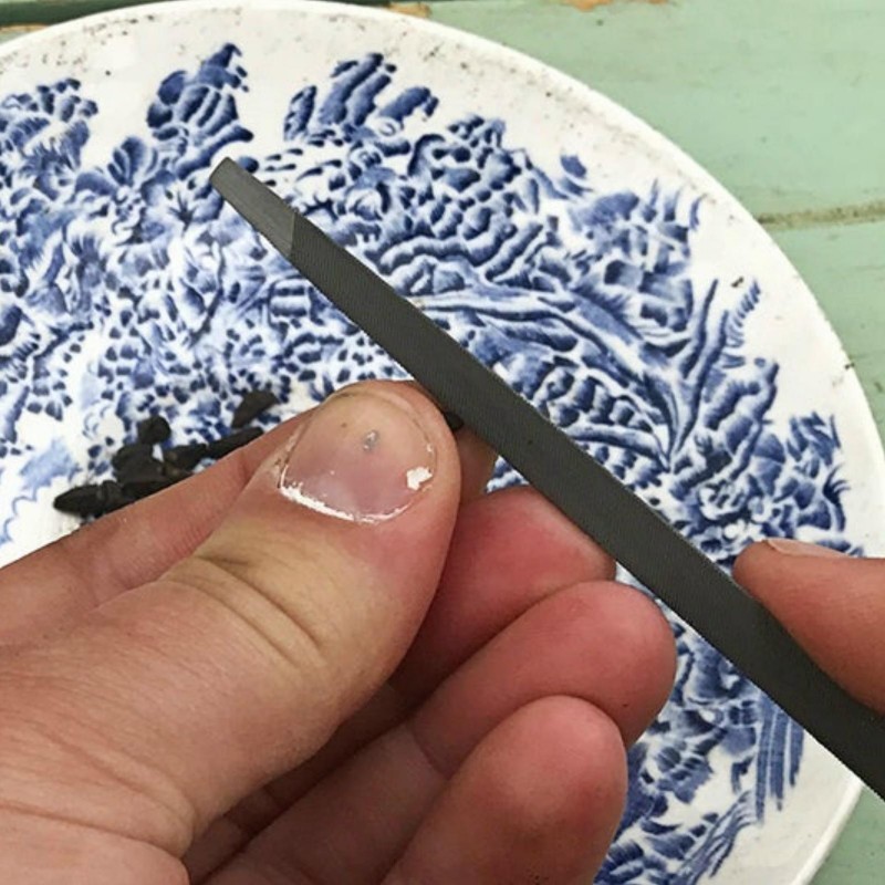 Plant seeds scarification | € 0,00