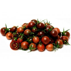 Black Cherry Tomatfrön Seeds Gallery - 4