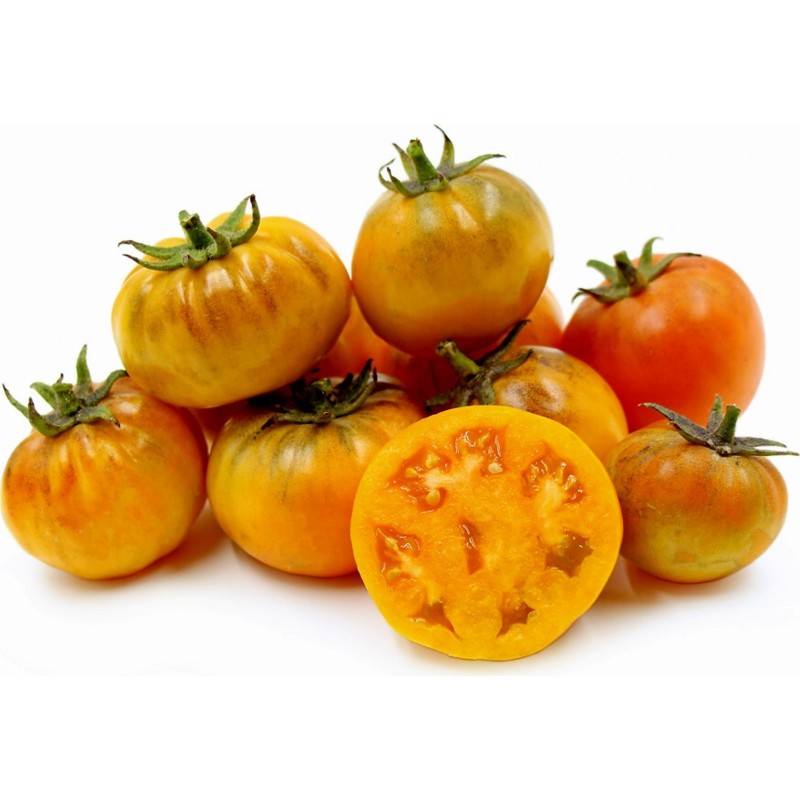 Orange Purple Smudge Tomato Seeds  - 1