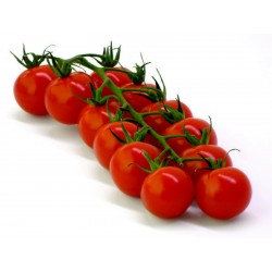 Семена томатов Чедвик Вишня (Chadwick Cherry)  - 2