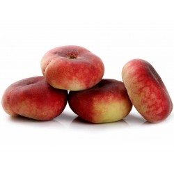 Saturn Peach, Paraguayo, Platerina Peach Seeds  - 1