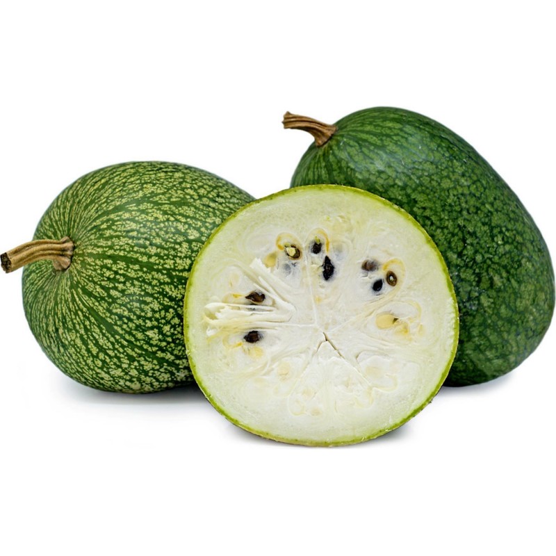 Figleaf Gourd seeds cidra chila gila (Cucurbita ficifolia)  - 5