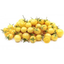 Graines de tomate Cerise Blanche (Snow White Cherry) Seeds Gallery - 3