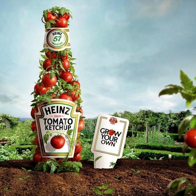 Semillas de tomate HEINZ 1350  - 2