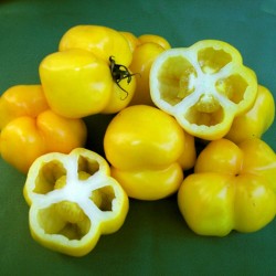Sementes de tomate Yellow Stuffer  - 2