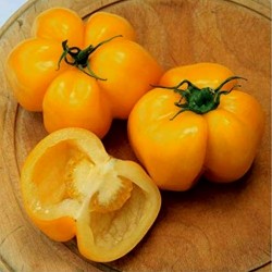 Graines de tomate Yellow Stuffer  - 4