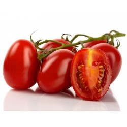 Roma tomatfrön  - 3