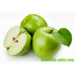 Granny Smith Apple Frön (Malus sylvestris)