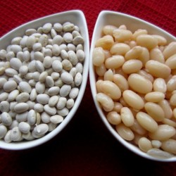 Kleine weiße Navy Bohnen Samen Perlbohnen  - 2