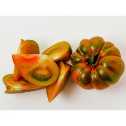 Sementes de Tomate Sic. COSTOLUTO PACHINO Seeds Gallery - 6