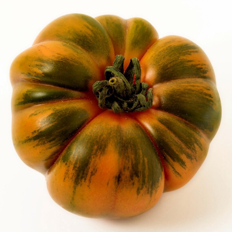 Semillas de tomate sic. Costoluto Pachino | 1,95 €