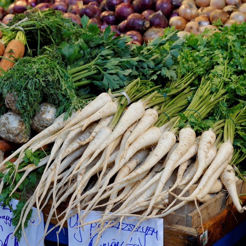 Rotpersilja Berlin frön | 1,95 €