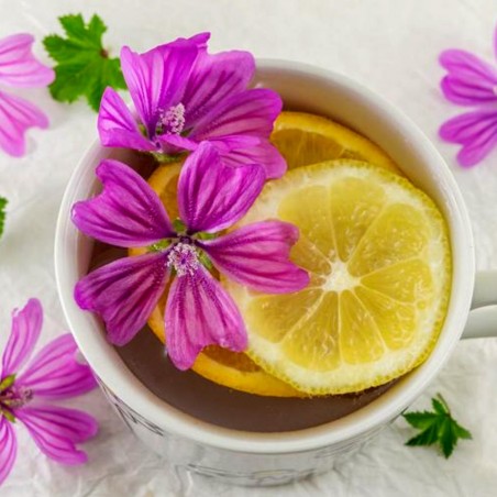 Rödmalva frön (Malva sylvestris mauritanica) | 1,85 €