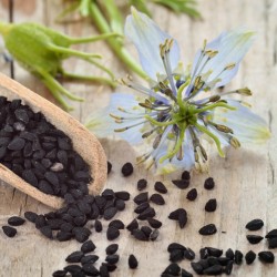 Black Caraway, Black Cumin Seeds (Nigella sativa)  - 2