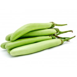 Tay Uzun Yeşil Patlıcan Tohumları  - 2