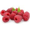 Price: €2.45 - Giant Red Raspberry Seeds - Seeds Gallery