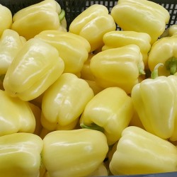 Λευκοί γλυκού πιπεριού σπόροι BELINDA  - 1
