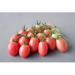 Autentiska thailändska tomatfrön Sida  - 2