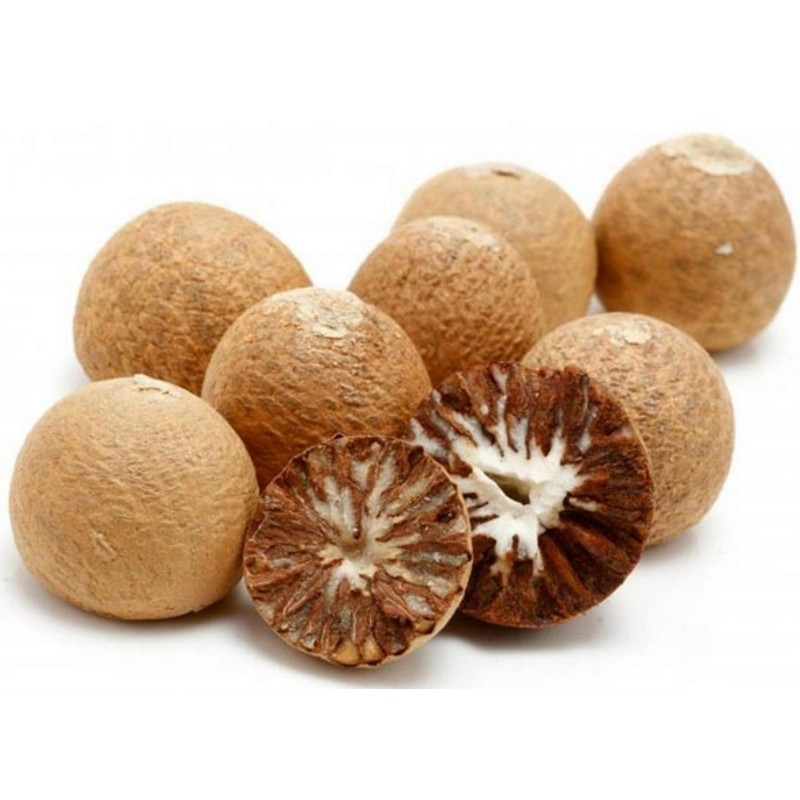 Areca Nut Palm, Betel Palm Seeds (Areca catechu)  - 3