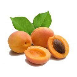 Graines de Abricot de Mandchourie  - 5