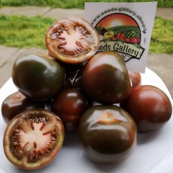 1000 Graines Tomate Kumato - Tomate Noire Seeds Gallery - 3