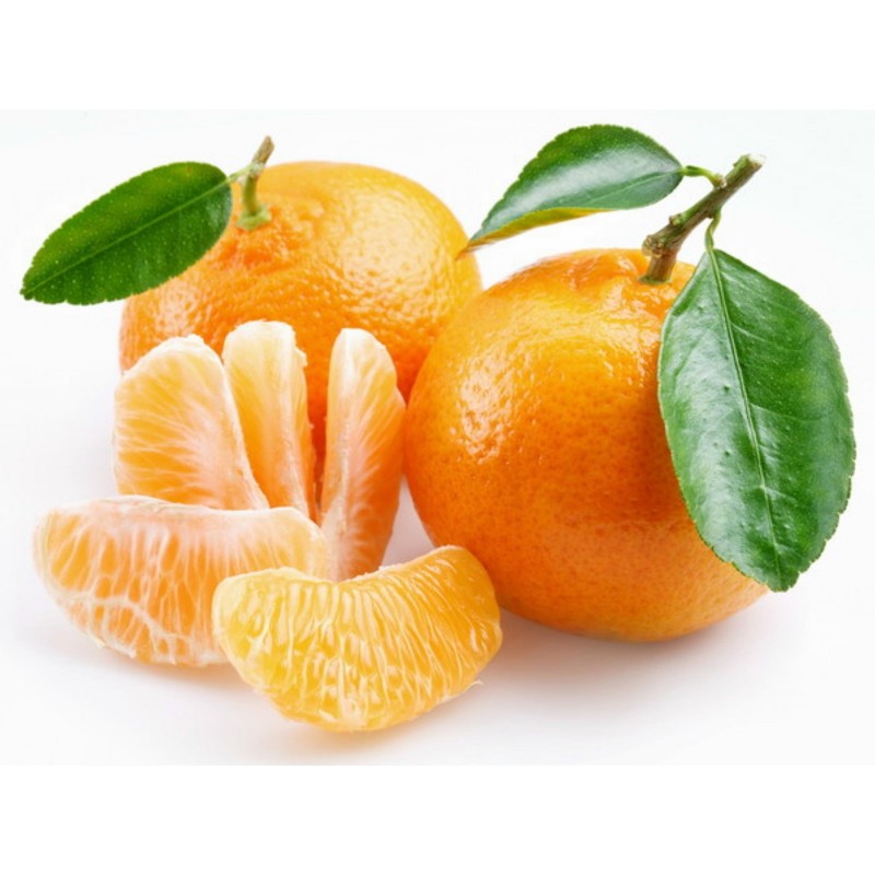 Semi di Mandarino (Citrus reticulata)  - 5