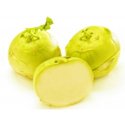 Yellow Kohlrabi Seeds  - 1