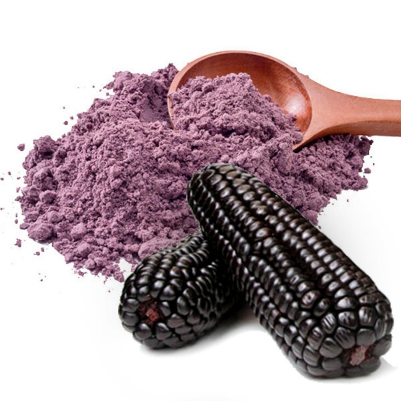 1oz to 8oz Maiz Morado Purple Flint Corn Seed Heirloom Peruvian Maize Seeds