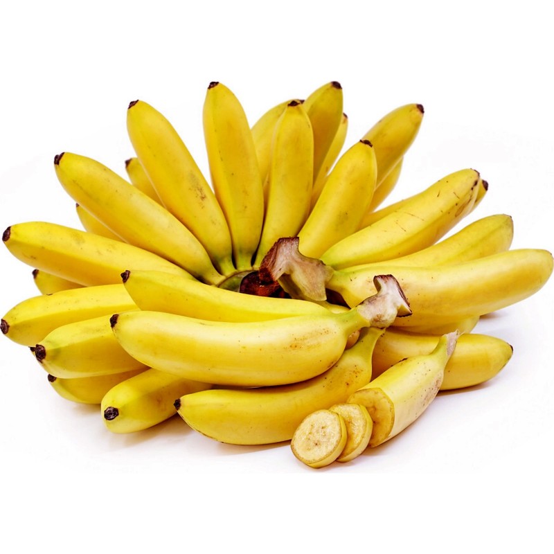 Seme Divlje Banane (Musa balbisiana)  - 6
